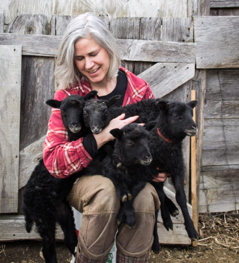 Raising Quadruplet Lambs -Has Taught Us Some Basic Survival Skills