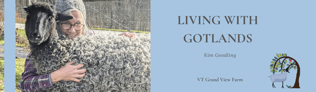 Blog - Living with Gotlands